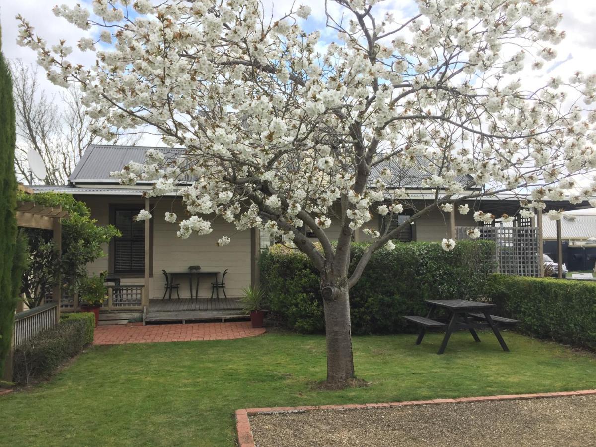 Pinot Villas Martinborough Exteriör bild